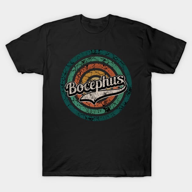 Bocephus // Retro Circle Crack Vintage T-Shirt by People Mask